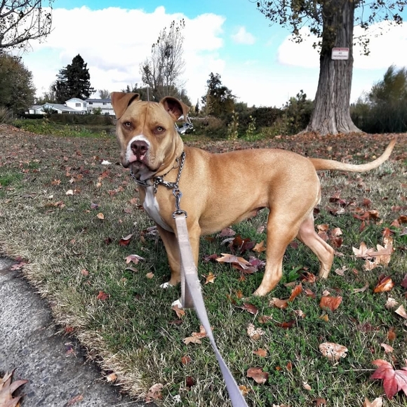 Nice to meet you! - Picture 2 of 2